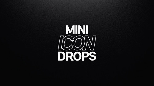 06 mini.jpg