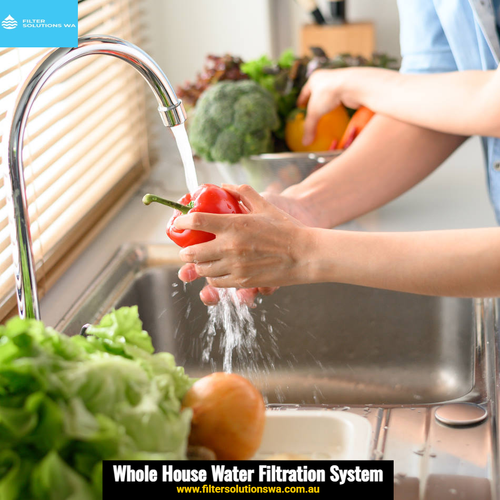 Whole House Water Filtration System.png