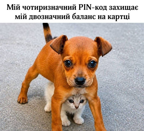 U42XrbahcpuxhTUf7NcVZt2A4OS6UMOzfiM19ITGze1od8jom9qggCZZWaEyidmJZxdhVlh437IUlcGDIqVS8 b zDGBwD58OZB5.jpg