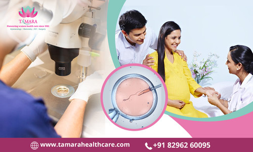 Find the Best IVF Specialist in Bangalore Today Tamara Hospital & IVF Center.jpg