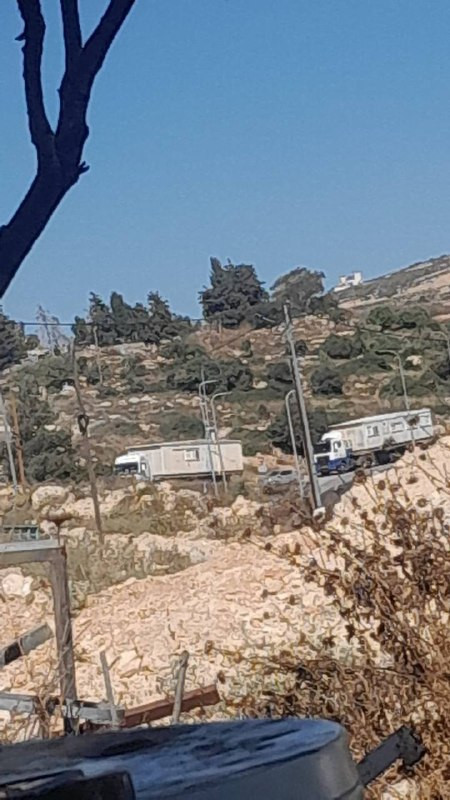 صورة الخبر