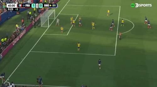 d000e9910768bab.gif