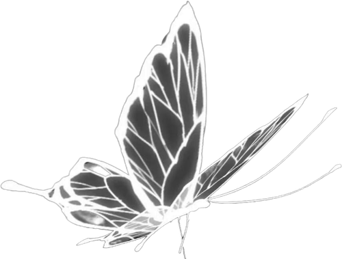 retouch 2026070105450573.png