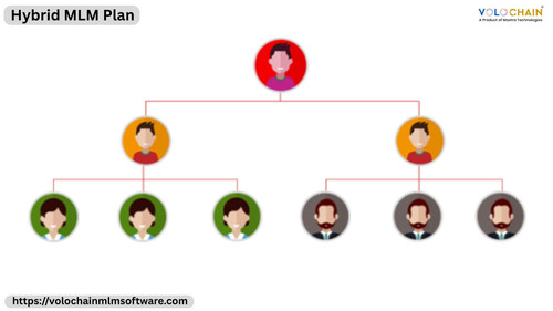 Grow Faster with Hybrid MLM Plan for Smarter Business Success.jpg