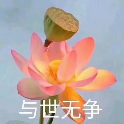 1000001874.jpg