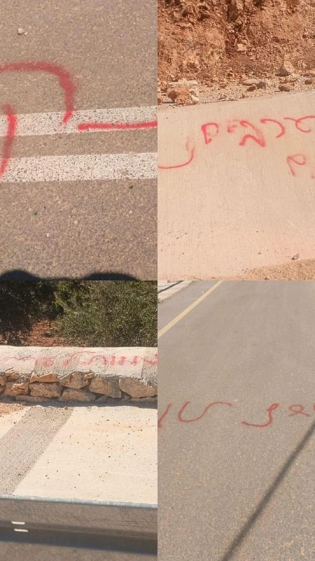 صورة الخبر