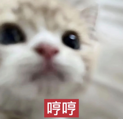 Screenshot.jpg