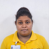 13375 Himali