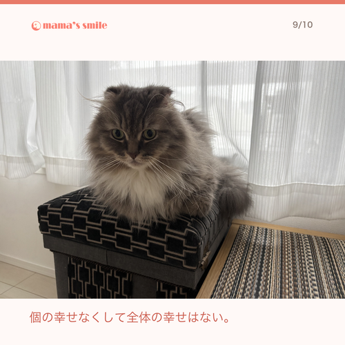 4d836d97a318.png