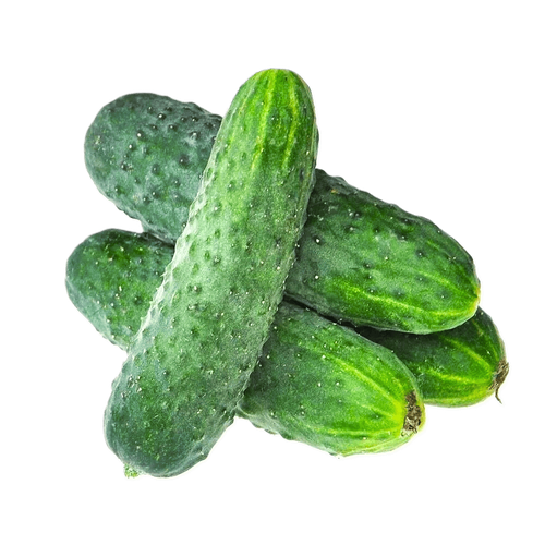 CUCUMBER.png