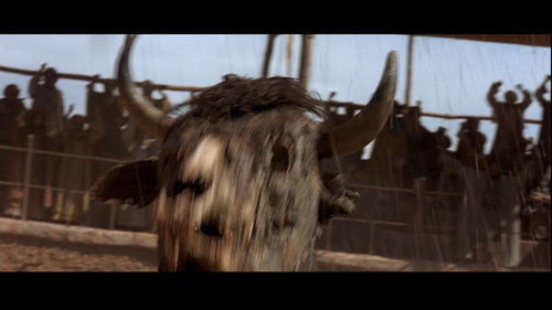 vlcsnap 2026 07 01 11h04m47s802.png
