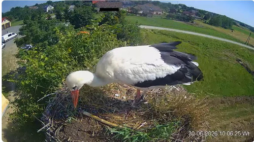 MWSnap509.jpg