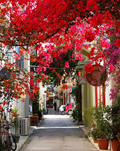 beautiful streets trellis canopies 2 7008.jpg
