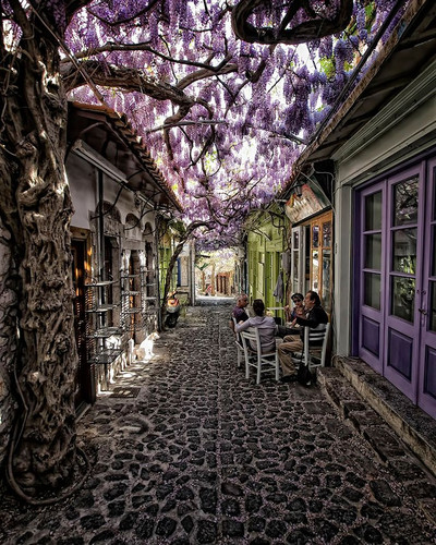 beautiful streets trellis canopies 4 700.jpg
