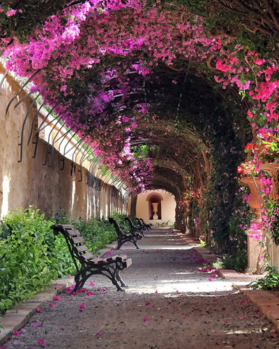 beautiful streets trellis canopies 8 700.jpg