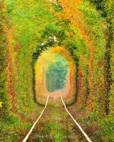 tunel pastel 700.jpg