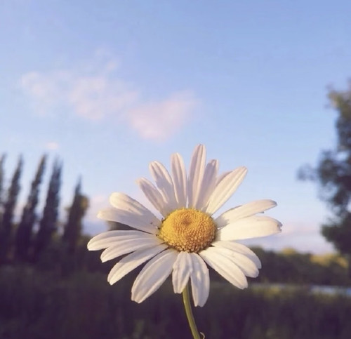 Screenshot.jpg