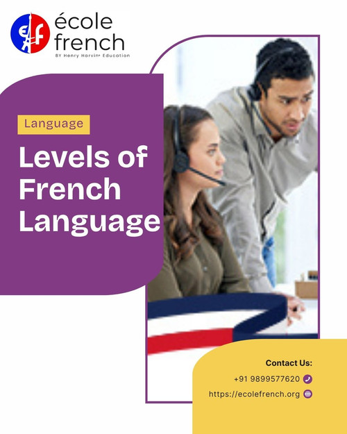 How to Progress Through the Levels of French Language.jpg