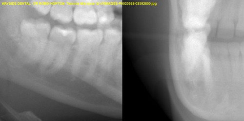 Tatenda Mardoza G VXIMAGES P0025928 02592800.jpg