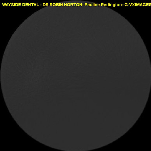 Pauline Redington G VXIMAGES 12395 01239500.jpg
