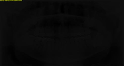 Michael Tookey G VXIMAGES 1125113 02301800.jpg