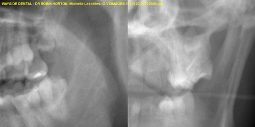 Michelle Lascelles G VXIMAGES 1123123 02102800.jpg