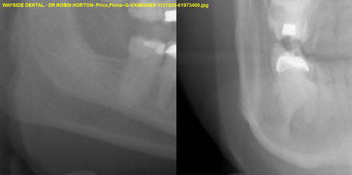 Price,Fiona G VXIMAGES 1121829 01973400.jpg
