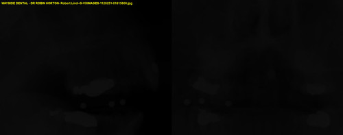 Robert Lind G VXIMAGES 1120251 01815600.jpg