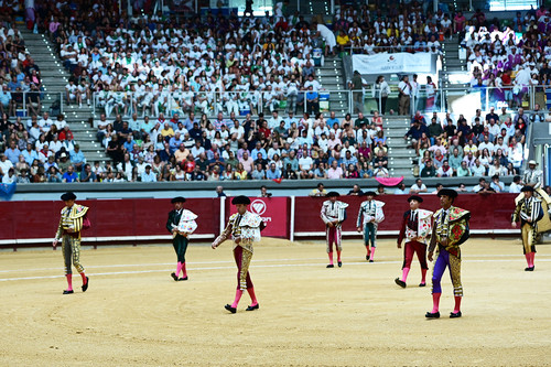 DSC 7902