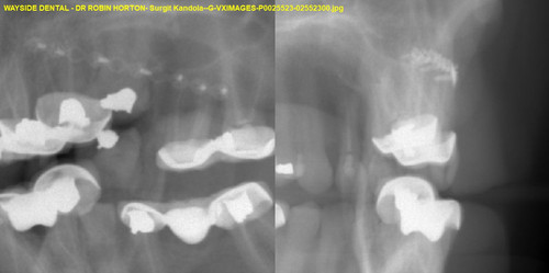 Surgit Kandola G VXIMAGES P0025523 02552300.jpg
