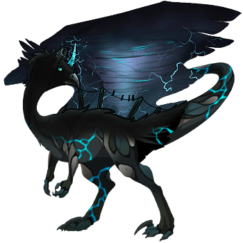 IMG 0516.png