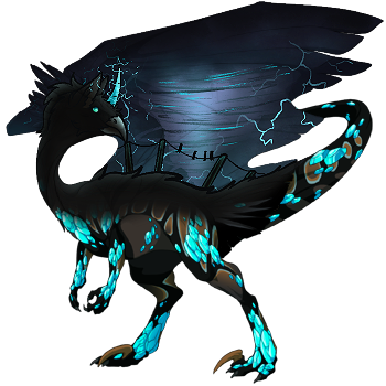 IMG 0519.png