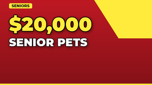 thumb pet insurance for senior pets landscape.png