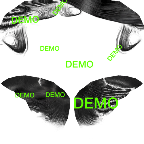 IMG 4909.png