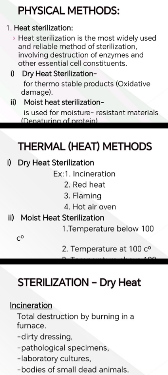 temp.png