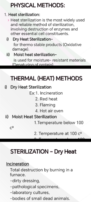 temp.png