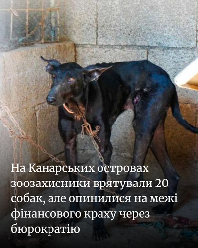 5044835872a0.png