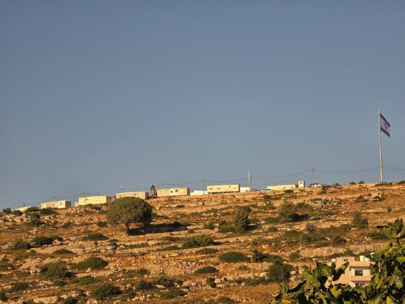 صورة الخبر