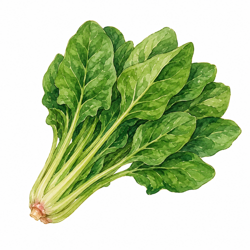 10. ほうれんそう — bayam.png