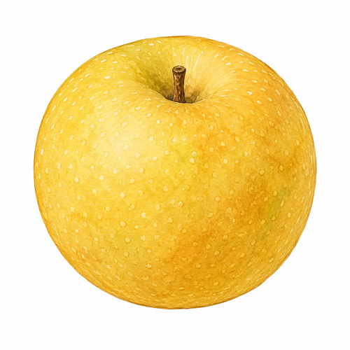 21. なし — pir.png