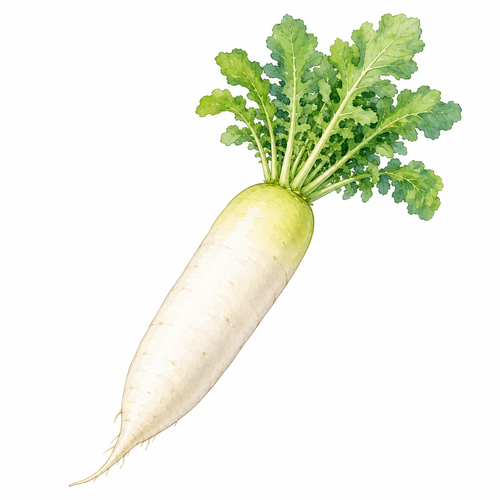 13. だいこん — lobak.png