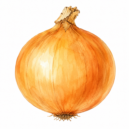 14. たまねぎ — bawang.png