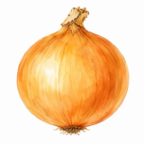 14. たまねぎ — bawang
