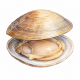 47. かい — kerang