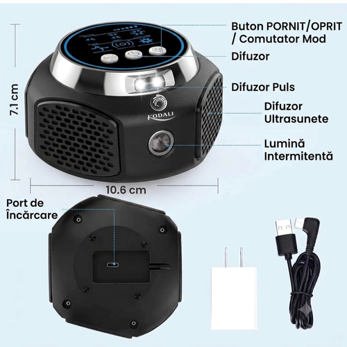 Untitled design (12).png