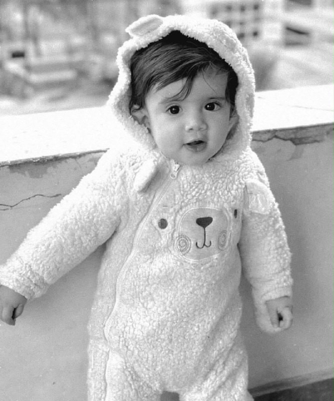 صورة الخبر