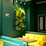 Friends Lounge 2