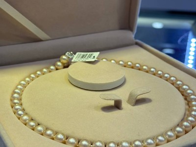 Princess Jewelry 5.jpg