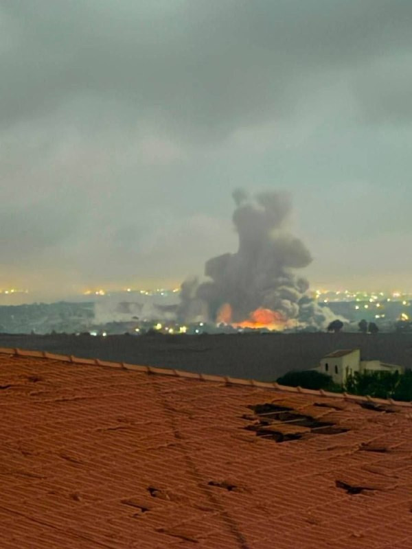 صورة الخبر