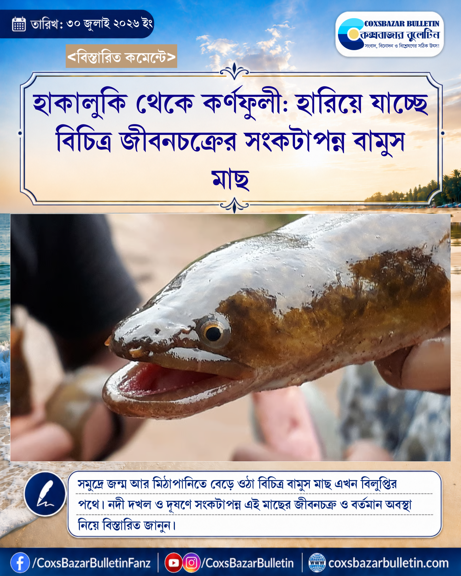 হাকালুকি থেকে কর্ণফুলী: হারিয়ে যাচ্ছে বিচিত্র জীবনচক্রের সংকটাপন্ন বামুস মাছ
